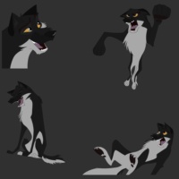 Specter Wolfdog's reference sheet