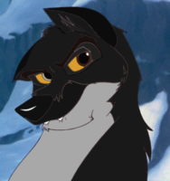 Specter Wolfdog by Specter_Wolfdog