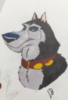 Side glare by steele