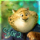 Avatar de Scar222